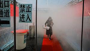 Japonya'da yeni tip koronavirüs nedeniyle ilk ölüm