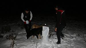 Kartal Belediyesi Soğuk Kış Günlerinde de Sokak Hayvanlarının Yanında