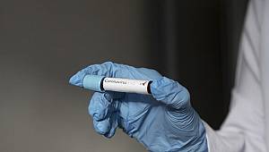 Koronavirüs sınırına dayandı... Valilik harekete geçti