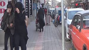 Lodos hayatı felç etti