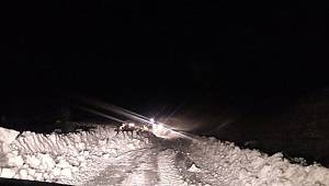 Siirt’te 30 köy yolu ulaşıma kapandı