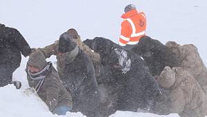 Son dakika… Van’daki çığ felaketinden bir acı haber daha