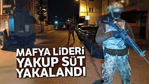 Suç örgütü lideri Yakup Süt ve adamlarına operasyon: 53 gözaltı