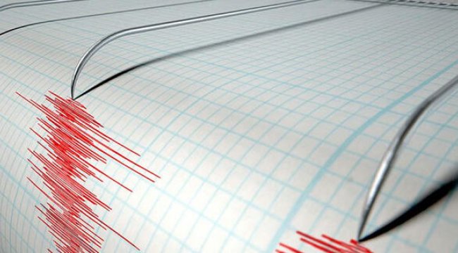 Van'da korkutan deprem!
