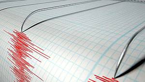Van'da korkutan deprem!