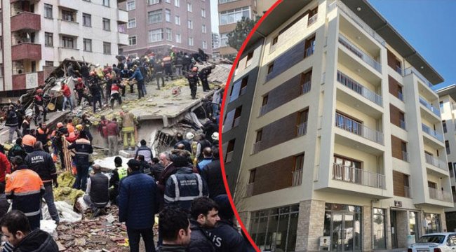 Yeni evlerine kavuştular!