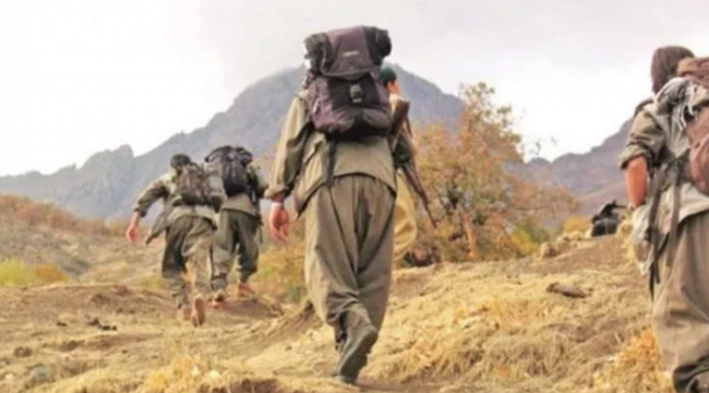 Bitlis'te etkisiz hale getirilen 3 PKK'lı teröristten birinde koronavirüs tespit edildi