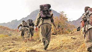 Bitlis'te etkisiz hale getirilen 3 PKK'lı teröristten birinde koronavirüs tespit edildi