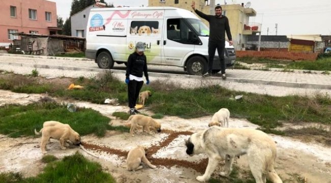 Çiğli Belediyesi sokak hayvanlarını unutmadı
