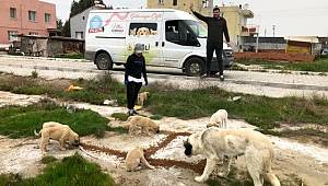 Çiğli Belediyesi sokak hayvanlarını unutmadı