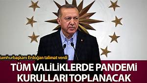 Cumhurbaşkanı Erdoğan talimat verdi, tüm valiliklerde pandemi kurulları toplantı yapılacak