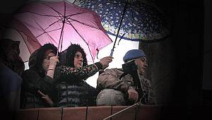 Duygulandıran karenin hikayesi ortaya çıktı