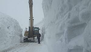 Hakkari'de kar kalınlığı 11 metreyi buldu