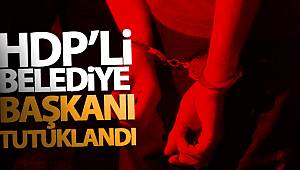 HDP'li Halfeli Belediye Başkanı Safa tutuklandı