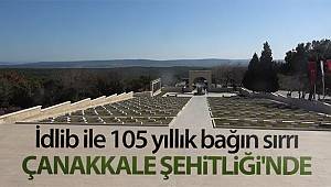 İdlib ile 105 yıllık bağın sırrı Çanakkale Şehitliği'nde