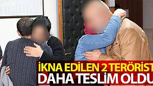 İkna edilen 2 terörist daha teslim oldu