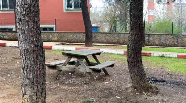 İstanbul'da Koronavirüs nedeniyle piknik alanları boş kaldı