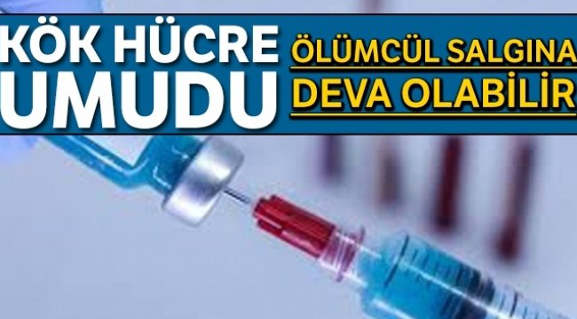 Kök hücre umudu