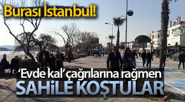 Korona virüsten korunmak için evde kalmak yerine sahile koştular