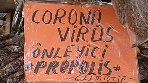 'Koronavirüs' salgını aktarların satışlarını artırdı