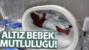 Mersin’de altız bebek mutluluğu