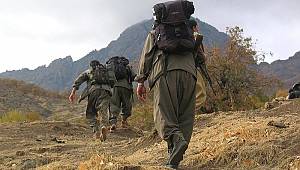 Örgütten kaçan terörist teslim oldu