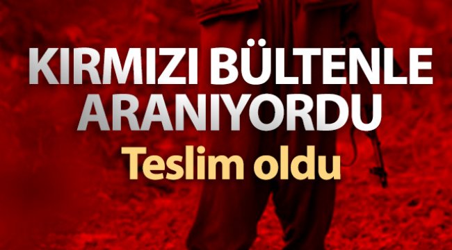 Teslim olan teröristin İnterpol tarafından kırmızı bültenle arandığı öğrenildi