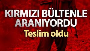 Teslim olan teröristin İnterpol tarafından kırmızı bültenle arandığı öğrenildi