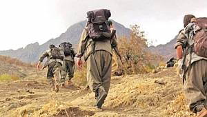 Teslim olan teröristin kırmızı bültenle arandığı ortaya çıktı