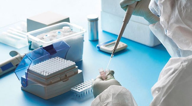 Türkiye'de koronavirüs testi paralı mı kaç kişiye yapıldı?