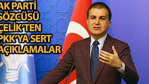 AK Parti Sözcüsü Çelik'ten sert PKK açıklamaları