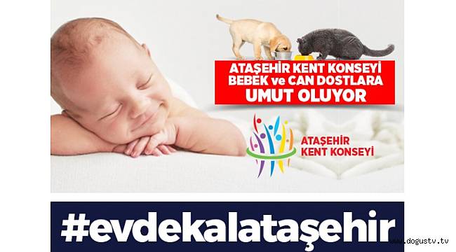Ataşehir Kent Konseyi Can DostlarıVe Bebekleri Unutmuyor