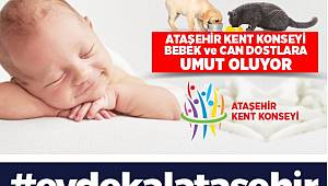 Ataşehir Kent Konseyi Can DostlarıVe Bebekleri Unutmuyor