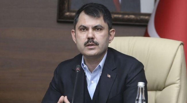 Çevre ve Şehircilik Bakanı Kurum'dan sokak hayvanları için çağrı