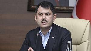 Çevre ve Şehircilik Bakanı Kurum'dan sokak hayvanları için çağrı