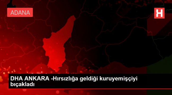 DHA ANKARA -Hırsızlığa geldiği kuruyemişçiyi bıçakladı