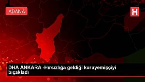 DHA ANKARA -Hırsızlığa geldiği kuruyemişçiyi bıçakladı