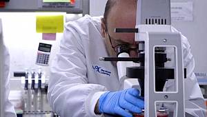 Dünyaca ünlü Türk doktor Derya Unutmaz 'çok iyi haber' deyip duyurdu: Potansiyel ilaçlar bulundu