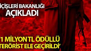 İçişleri Bakanlığı: '1 milyon TL ödülle aranan Hayri Mava kod adlı terörist yaralı olarak ele geçirilmiştir'