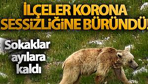 İlçeler Korona sessizliğine büründü! Sokaklar ayılara kaldı