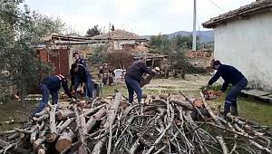 Jandarma, şehit annesinin odunlarını kesti