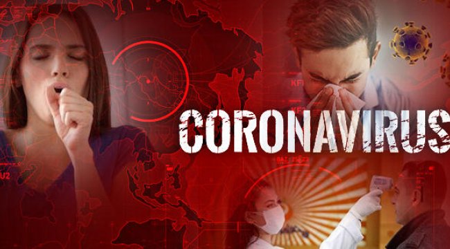 Koronavirüs haritası son durum… Son dakika covid-19 corona virüsü haberleri