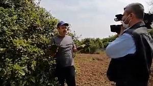 Mersin'de 'İBB aleyhine kurgu haber' operasyonu! 3 kişi gözaltına alındı