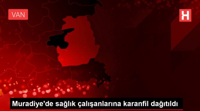 Muradiye'de sağlık çalışanlarına karanfil dağıtıldı