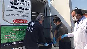 Sokak Köpeği ve Nesli Tükenmekte Olan Kuşu, Belediye Ekipleri Kurtardı