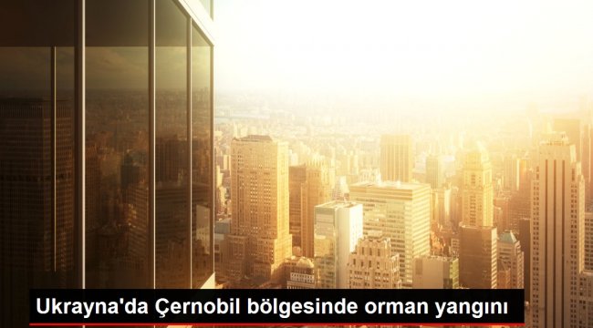 Ukrayna'da Çernobil bölgesinde orman yangını