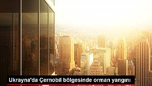 Ukrayna'da Çernobil bölgesinde orman yangını