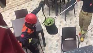 Ataşehir 'de yılan paniği