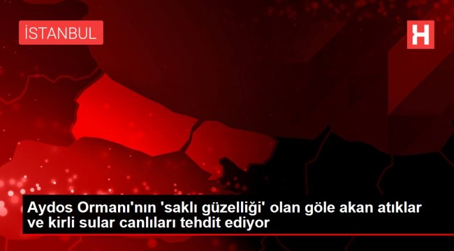 Aydos Ormanı'nın 'saklı güzelliği' olan göle akan atıklar ve kirli sular canlıları tehdit ediyor