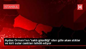 Aydos Ormanı'nın 'saklı güzelliği' olan göle akan atıklar ve kirli sular canlıları tehdit ediyor